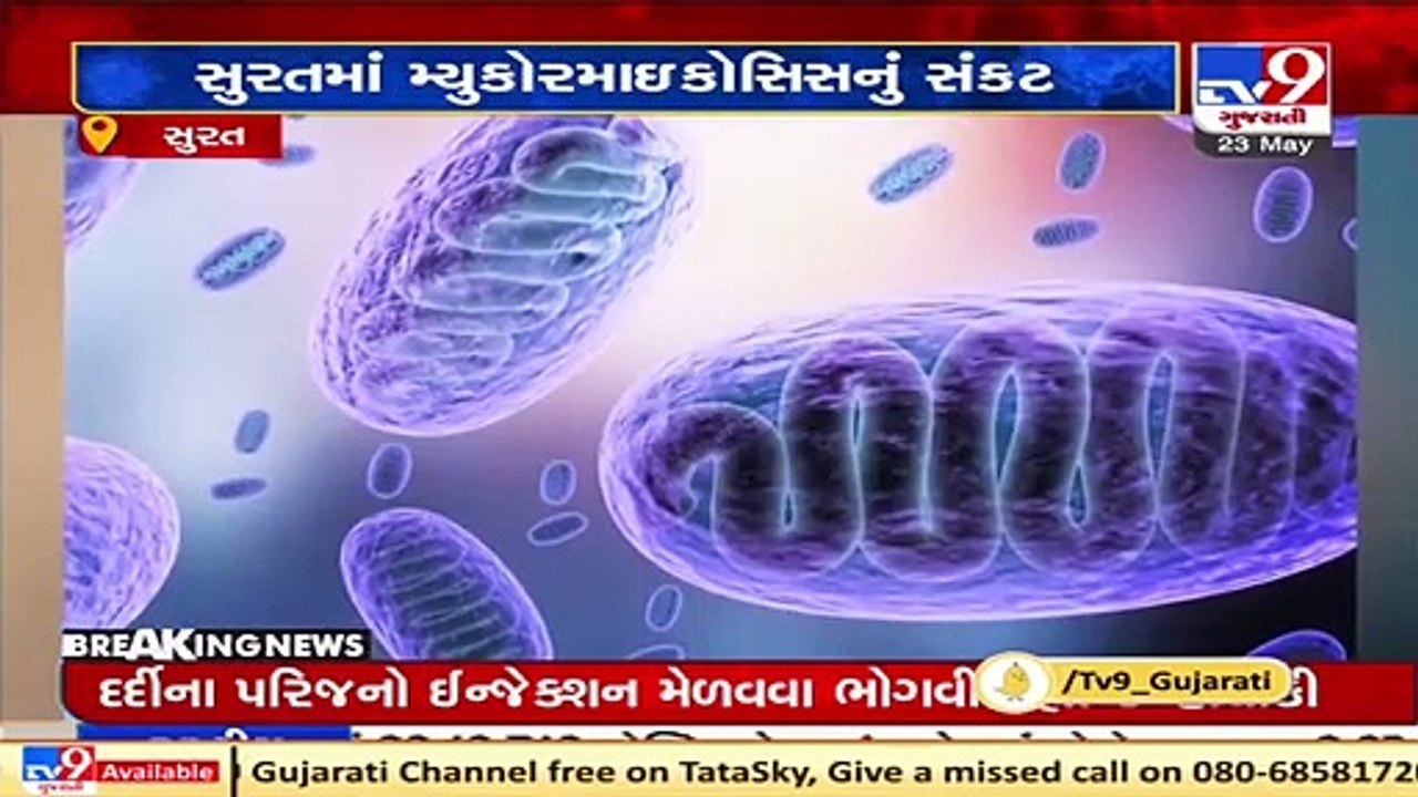 Special wards started at Private and Government hospitals of Surat for mucormycosis _ TV9News
