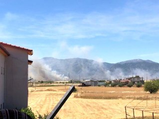 Buğday tarlasında çıkan yangın 30 dönümden fazla ekili alanı küle çevirdi