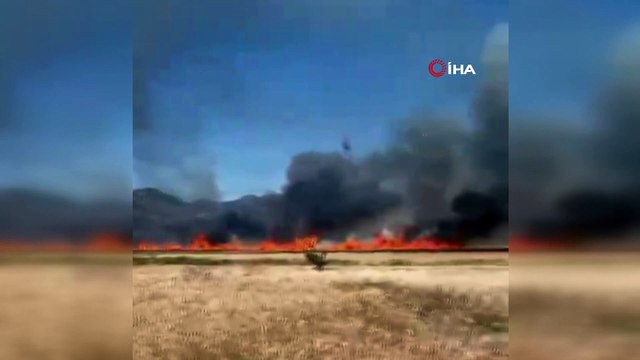 Buğday tarlasında çıkan yangın 30 dönümden fazla ekili alanı küle çevirdi