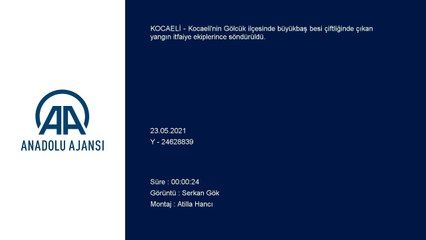 KOCAELİ - Büyükbaş besi çiftliğinde çıkan yangın söndürüldü