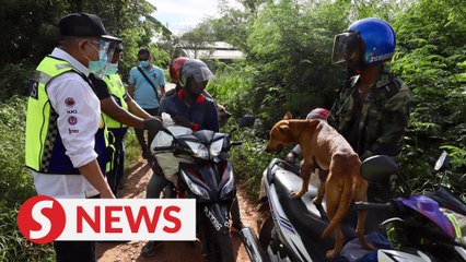 Fifteen fined RM5,000 each for violating interstate travel ban in Penang