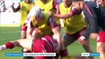 Rugby : le Stade toulousain champion d'Europe, les supporters exultent