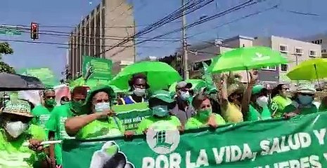Ciudadanos marchan en apoyo a las tres causales