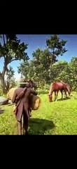 Red Dead Redemption 2 Funny Moments
