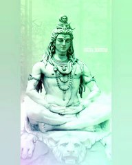 namo namo  shankra status