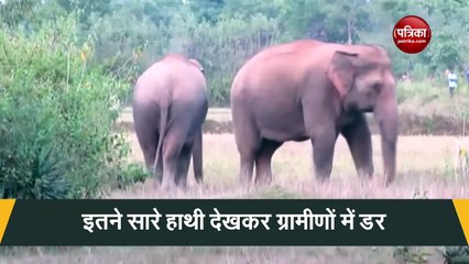 क्या हुआ जब गांव में घुस गए डेढ़ दर्जन हाथी