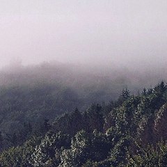 Superb Nature Video With 4k Picture Quality live the nature |4K Video | free Video