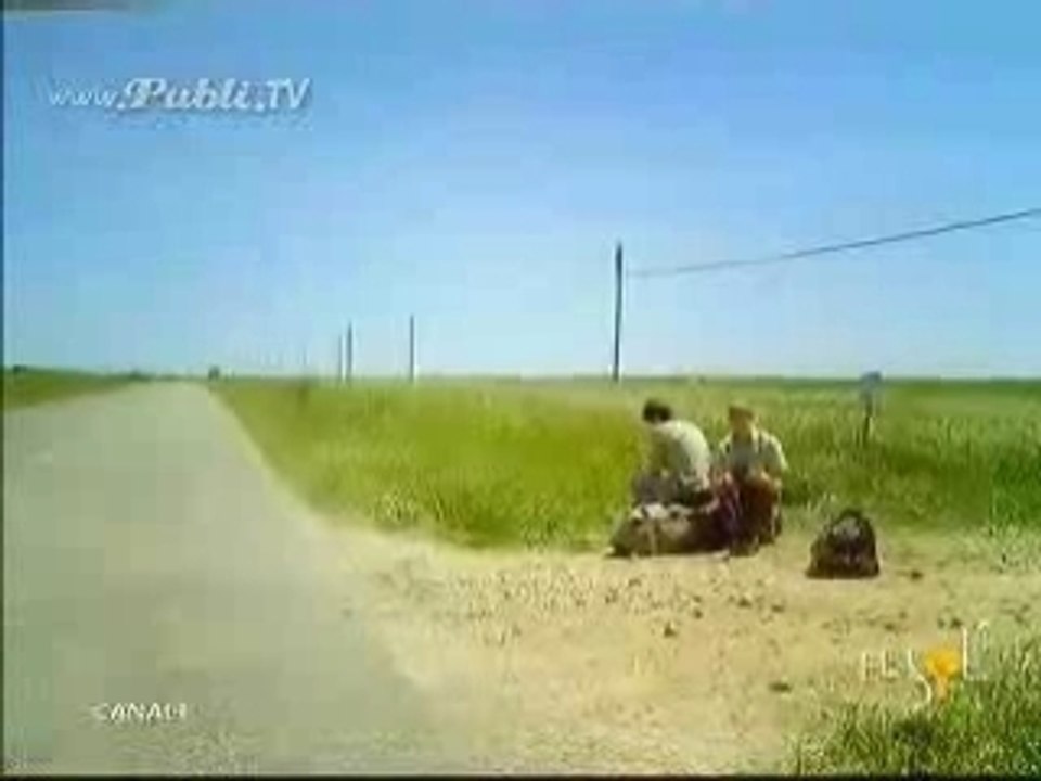 Crazycar1