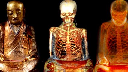 4 cosas que no sabías del mundo y te darán horror