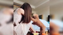 Baby Dogs Video - Cute Pets And Funny Animals 2021 Compilation  - 4 FOND OF ANIMALS ( 720 X 1280 )