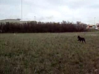 titi avecsam et alter hier