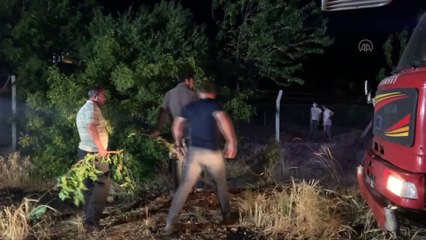 ADIYAMAN - 30 dönüm ekili tarla yandı