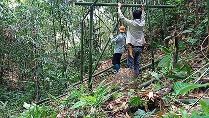 [Camenana'S Meme Song(X] Can I Friend You On Bassbook? Lol (Ftr 9) Pure Memory! (Max-17) [Arcaea]