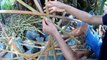 Handmade Basket Weaving, Aesthetic And Functional丨Traditional Craft丨Bamboo Woodworking Art