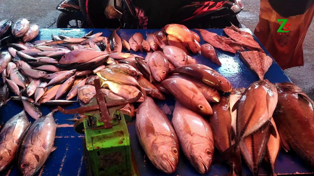 Potong Ikan Tercepat Pajak Ikan Meulaboh