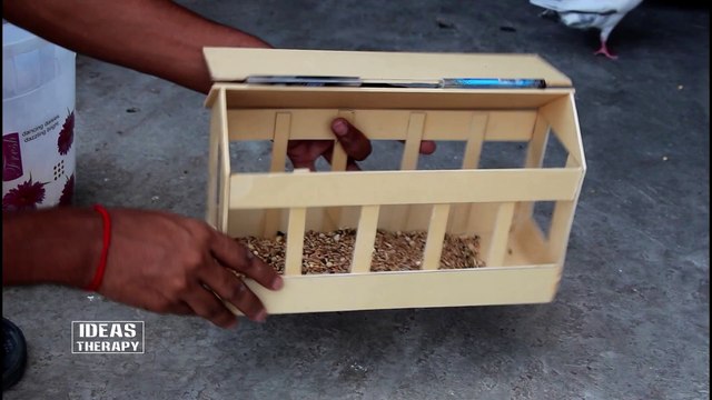 How to Make a Bird Feeder | Easy DIY Pigeon Feeder | Homemade Simple DIY Project | Useful Things
