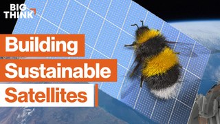 We need sustainable space tech. One solution - bees?