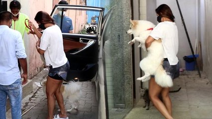 Malaika Arora अपने Dog की तबियत खराब होने पर दिखीं परेशान, पहुँचीं Clinic | FilmiBeat