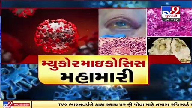 A'bad faces acute shortage of Amphotericin B, drug used to treat black fungus, as cases rise in city