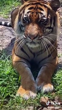 Try Not To Laugh - Funny Babies Playing With Water Pool Fails Funny Baby Videos Compilation