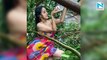 Deepika Singh has no regrets about her photoshoot during cyclone Tauktae destruction