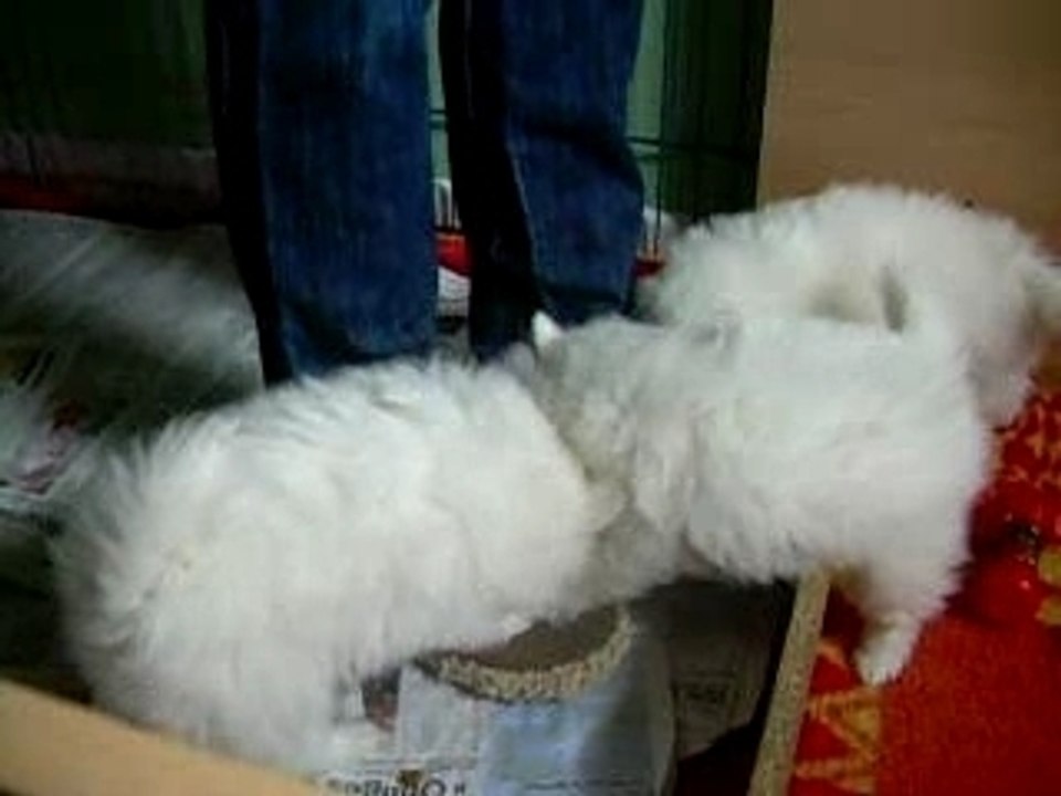 A l'attaque du pantalon à Cassy