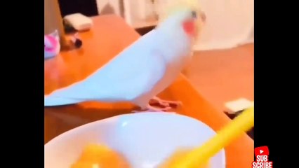 Alien In Bangladesh | Bangla Funny Video | Bad Brothers | It'S Omor