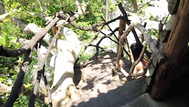 Sayashi Riho - ~Greeting~ Part 1