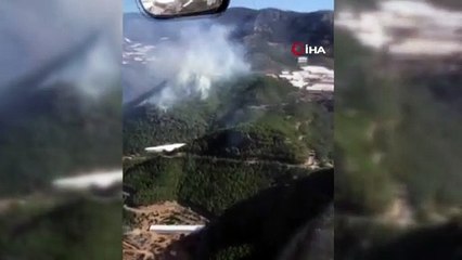 Mersin'de orman yangını