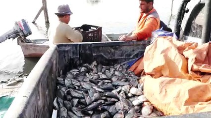 NECEF - Çölün ortasındaki mucize: Necef Denizi (2)