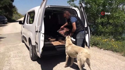 Sokak hayvanlarına özel ciğer kebap