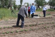 Son dakika haber... Hastaneye gitme fırsatı bulamayan Erzincanlı çiftçi aile çapa yaptıkları tarlada aşılandı