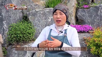 간 기능 UP! 면역력 높이는 ˹현미 식초˼ 만드는 방법 TV CHOSUN 210524 방송
