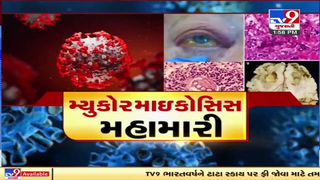 Sharp spike in Mucormycosis cases across Gujarat, over 2400 cases recorded _ TV9News