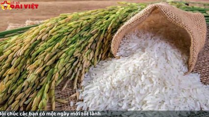 Mơ thấy gạo có tỉ lệ trúng cao nhất