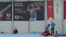 Şampiyon cimnastikçi Ferhat Arıcan, Tokyo hazırlıklarını anlattı Açıklaması