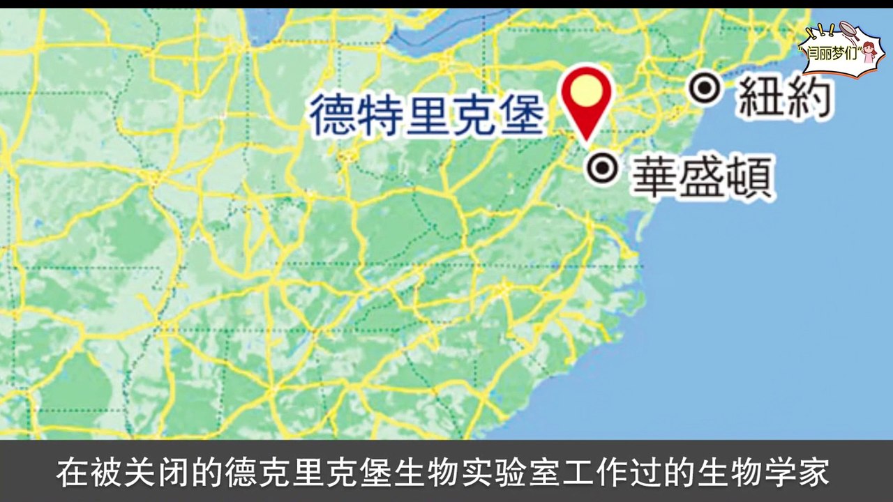 “閆麗夢们”