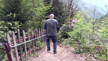 ARTVİN - 'Camili Havzası'nın incisi' olarak anılan Maral Şelalesi büyülüyor