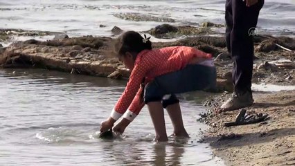 NECEF - Çölün ortasındaki mucize: Necef Denizi (1)