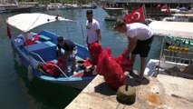 ANTALYA - Kaş ilçesinde dalgıçlar deniz dibi temizliği için daldı