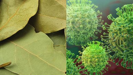 Coronavirus : Immunity बढ़ाने में बेहद कारगर है ये 1 चीज, जरूर करें इस्तेमाल | Boldsky
