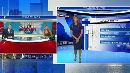 Julie Durda on WPLG Local 10 (24/05/2021)