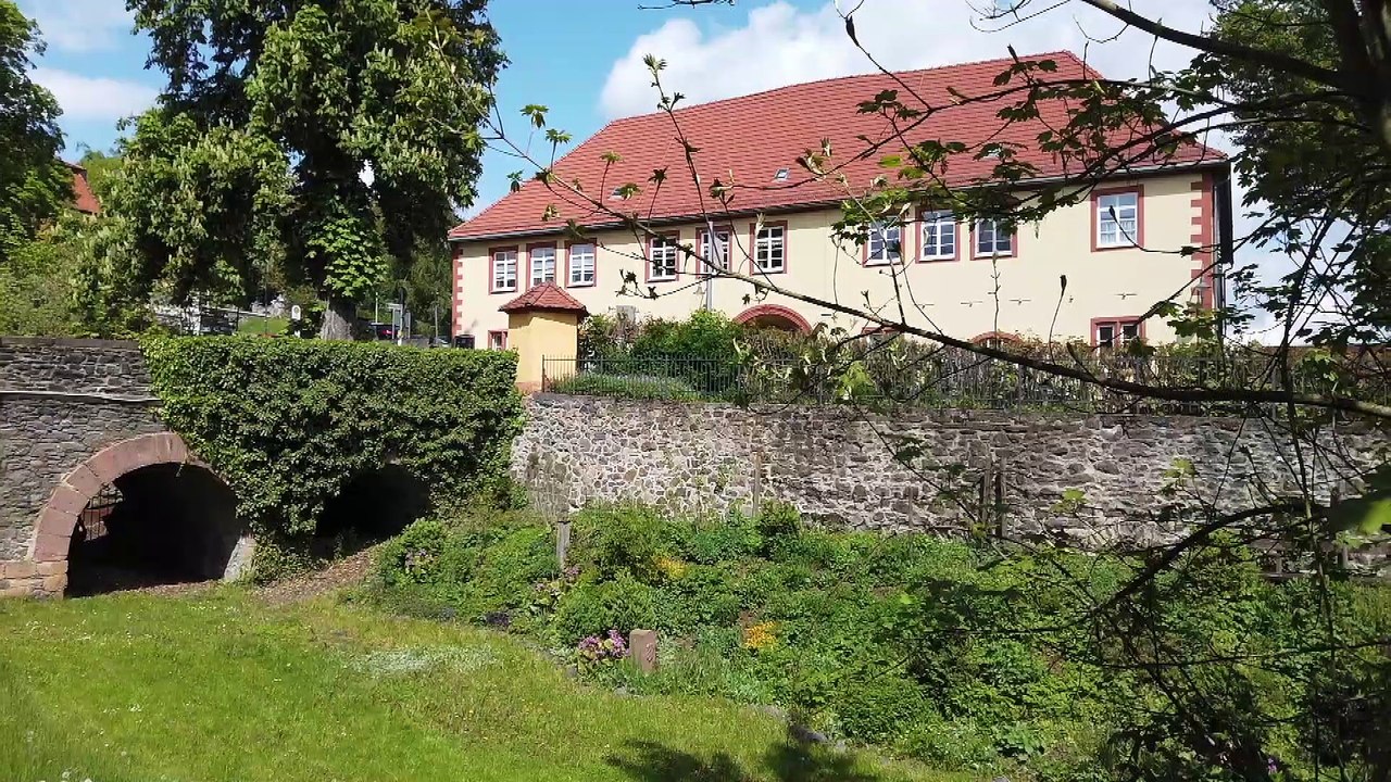 Alte Steine, junges Leben / Ancient Stones, young life