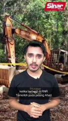Terkejut tengok kayu balak 'gergasi'!