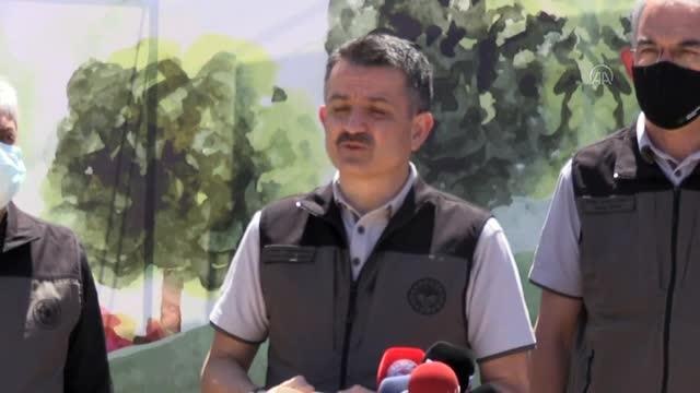 Son dakika haberi... Pakdemirli: Vatandaşlarımız yangına karşı duyarlı olsunlar, hassas olsunlar