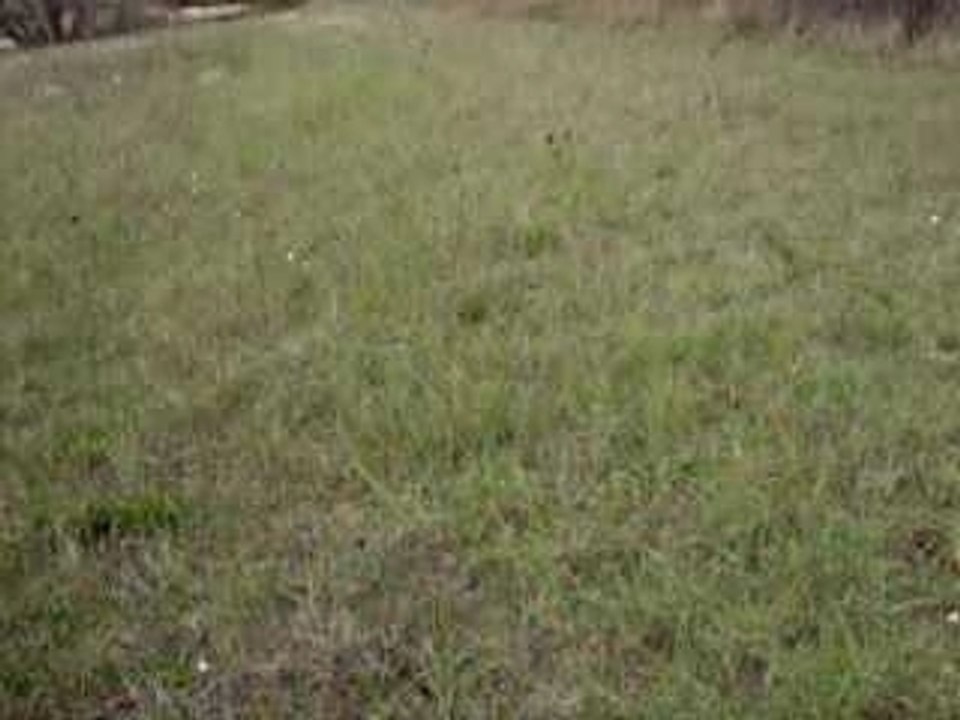 pour tata popie titi