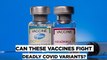 How Effective Are Pfizer & Covishield (AstraZeneca) Vaccines Against Variant Found In India