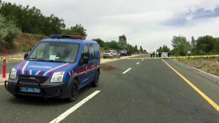 ELAZIĞ - Tır yolun karşısına geçmeye çalışan çifte çarptı: 1 ölü, 1 yaralı