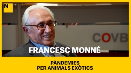 ENTREVISTA A FRANCESC MONNÉ | Pandèmies per animals exòtics
