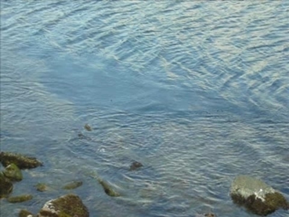 La mer